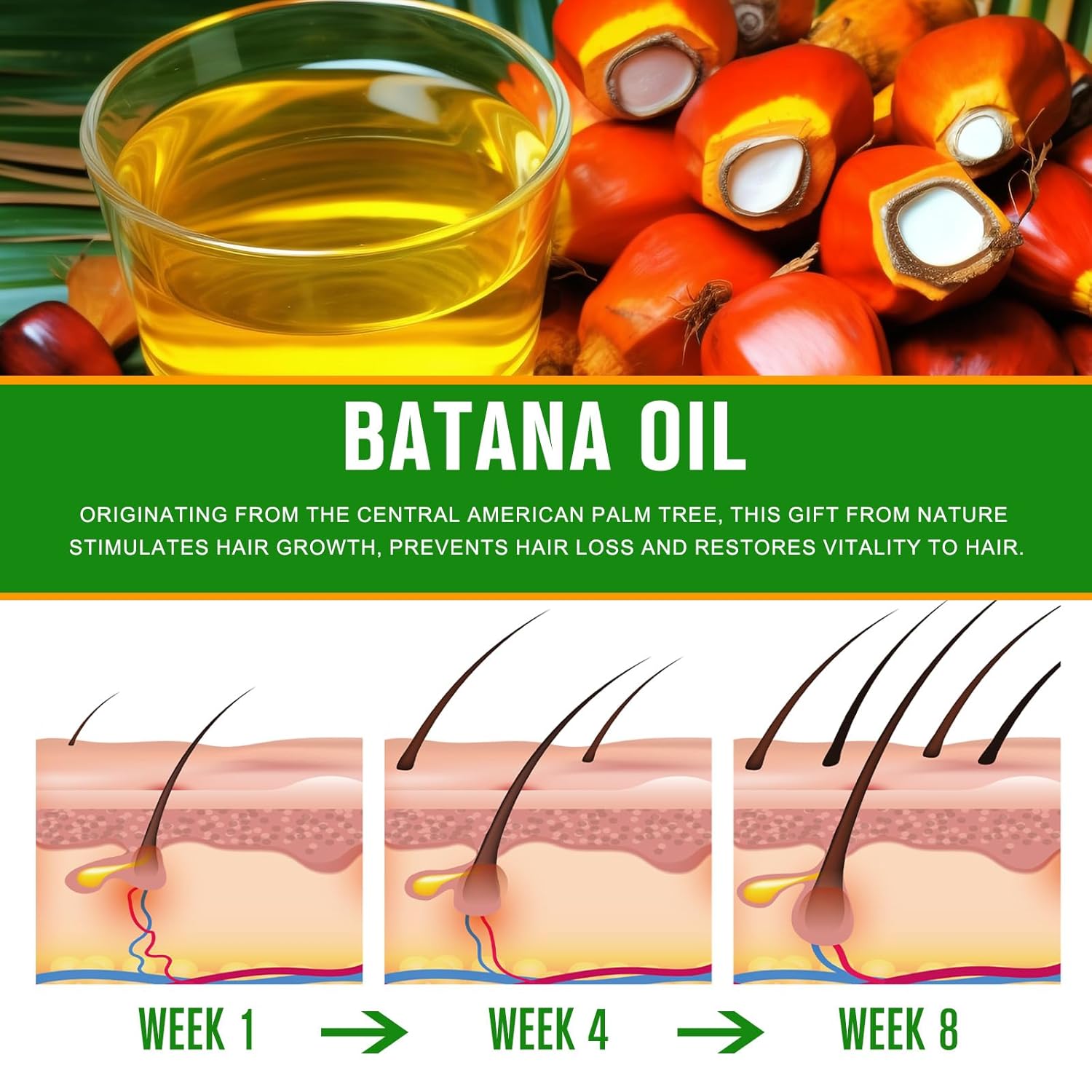 Pure Batana Oil for Hair Growth, Natural Treatment for All Hair Types, 2.02 fl oz - Image 6