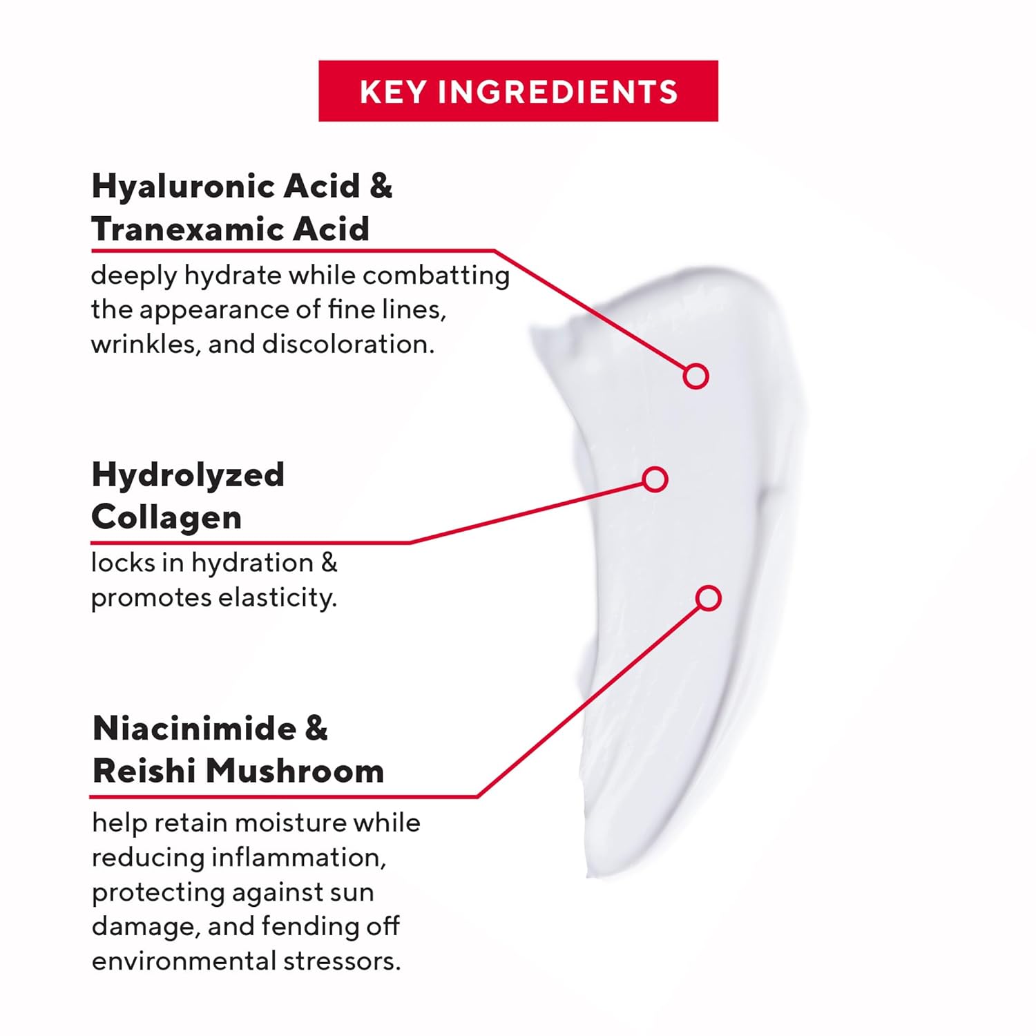 Mirabella Intense 50ml Day to Night Face Moisturizer for Mature Skin Anti-Wrinkle Cream - Image 5