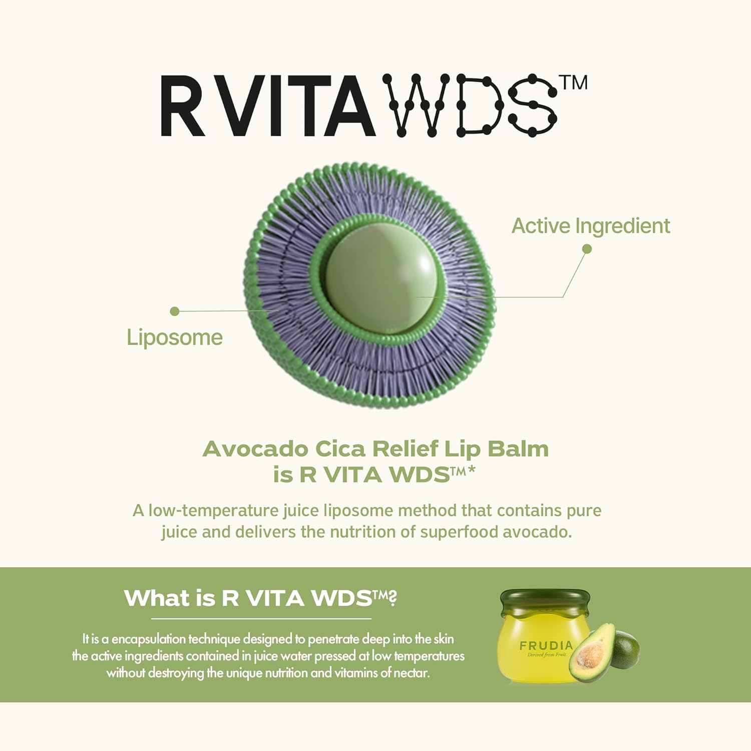 FRUDIA Avocado Cica Relief Vegan Lip Balm 0.33 fl oz Hydrating Organic with Shea Butter - Image 7