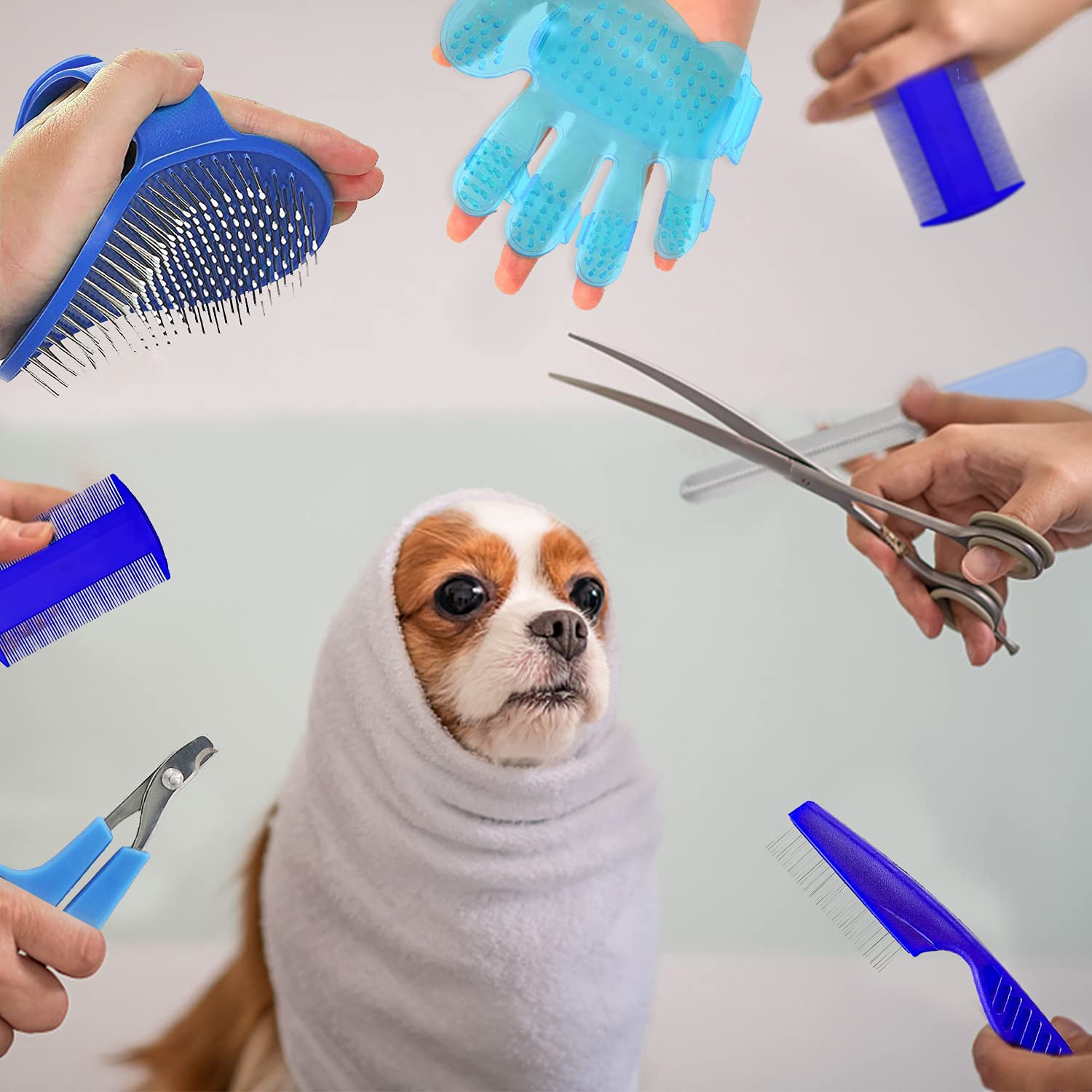 Blue 7-Piece Adjustable Strap Small Pet Grooming Kit for Rabbits, Hamsters, Guinea Pigs - Image 6