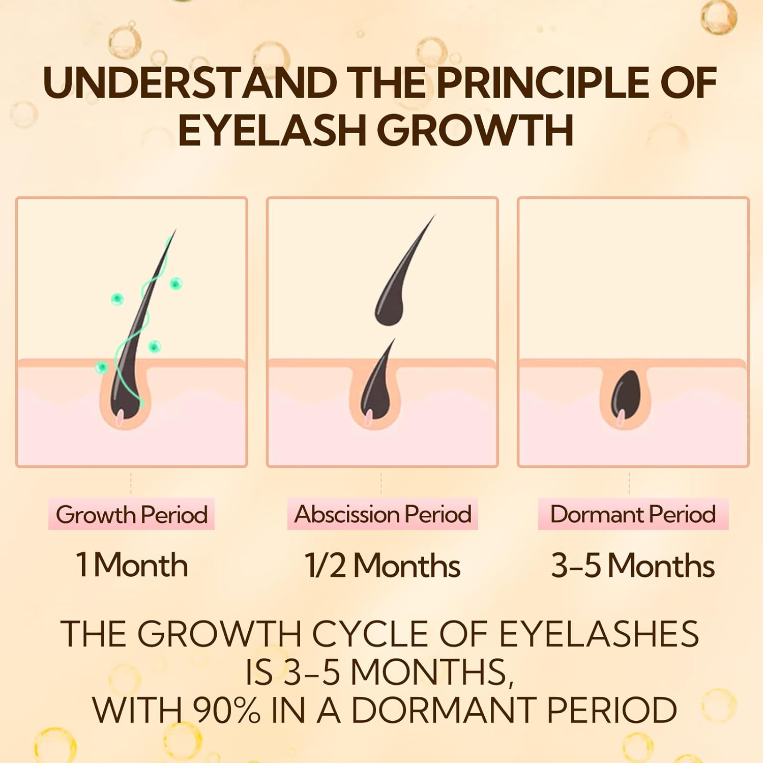 LANBENA 4ml Rapid Lash and Brow Growth Serum for Thicker, Healthier Lashes - Image 7