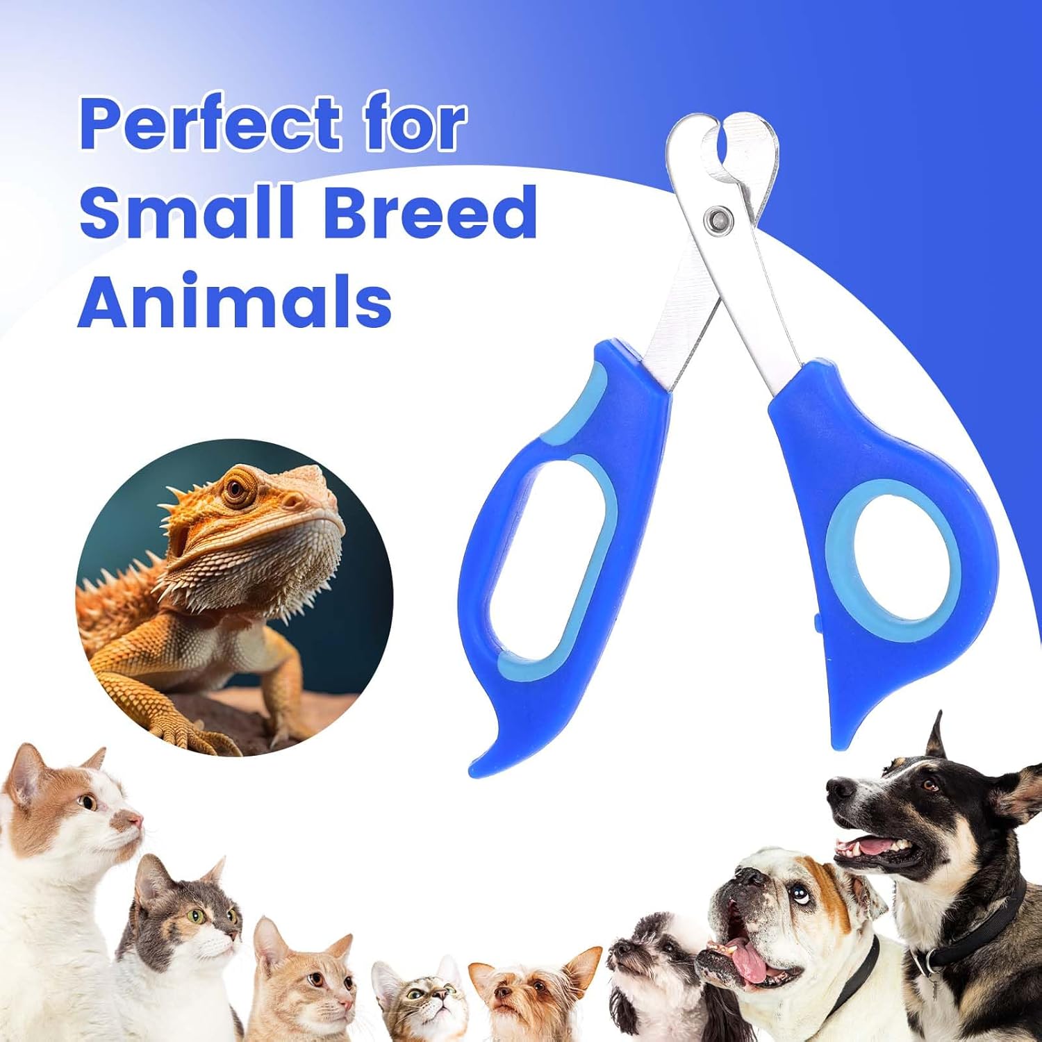 Stainless Steel Small Pet Nail Clippers Angled Edges for Cats and Bearded Dragons - Image 5