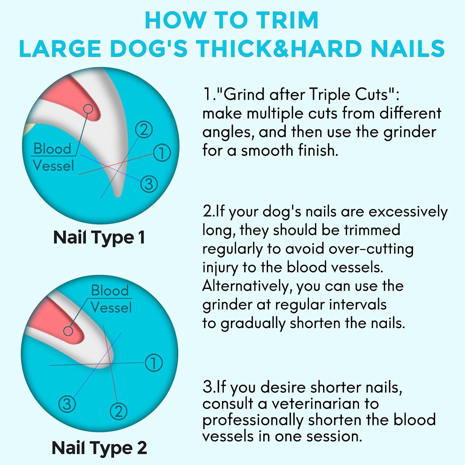 2-in-1 Pet Nail Clipper and Grinder with Built-in LED Light Safety Guard Medium - Image 6