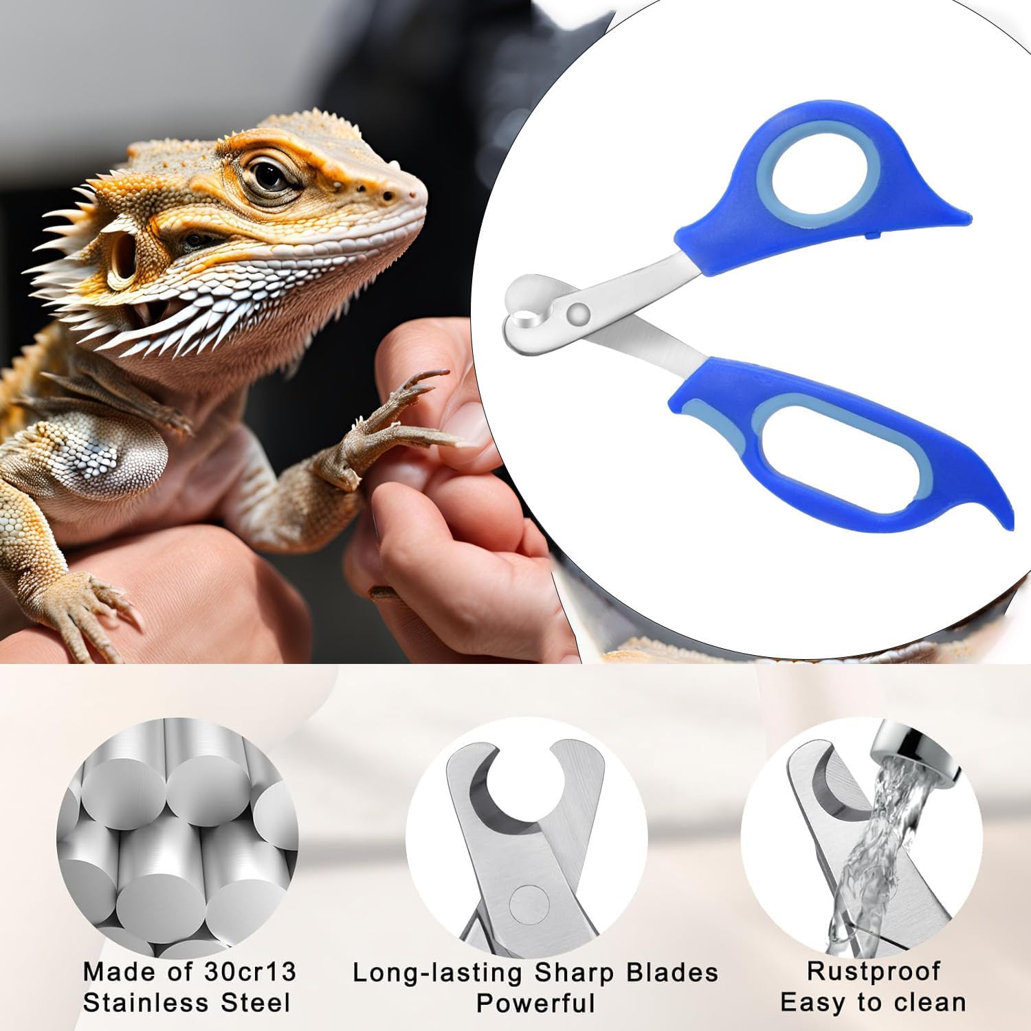 Bearded Dragon Nail Clippers Accessories,Stainless Steel Bearded Dragon Toe Nail Clippers with Precise Angled Edges,Professional Grooming Pet Tool for Reptile Nail Clippers Bearded Dragon