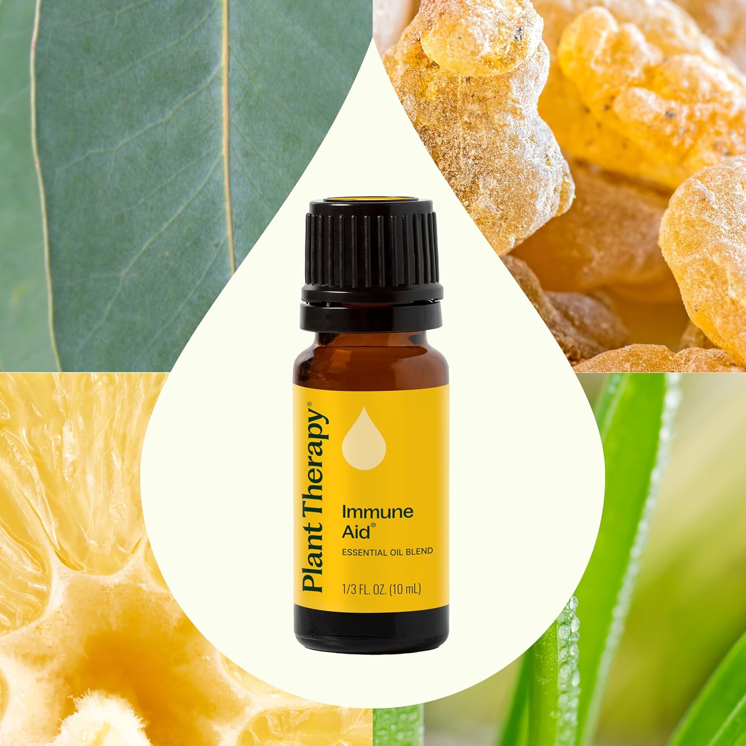 Plant Therapy Immune Aid Essential Oil Blend 10mL 100% Pure Undiluted Therapeutic Grade - Image 3