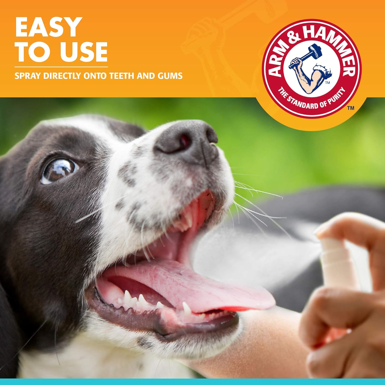 Arm & Hammer Fresh Breath Mint Flavor Oral Care Spray for Dogs 4 Oz - Image 3