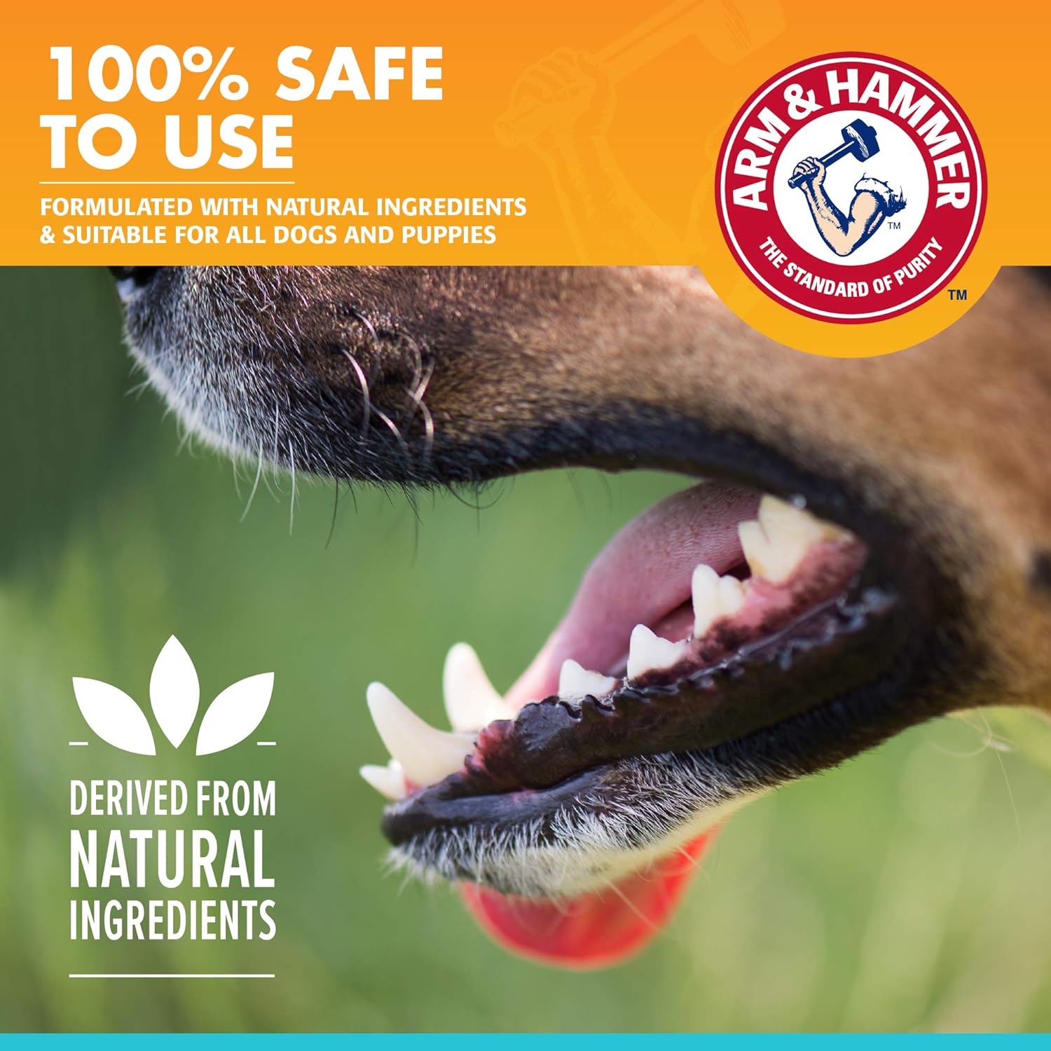 Arm & Hammer Fresh Breath Mint Flavor Oral Care Spray for Dogs 4 Oz - Image 5