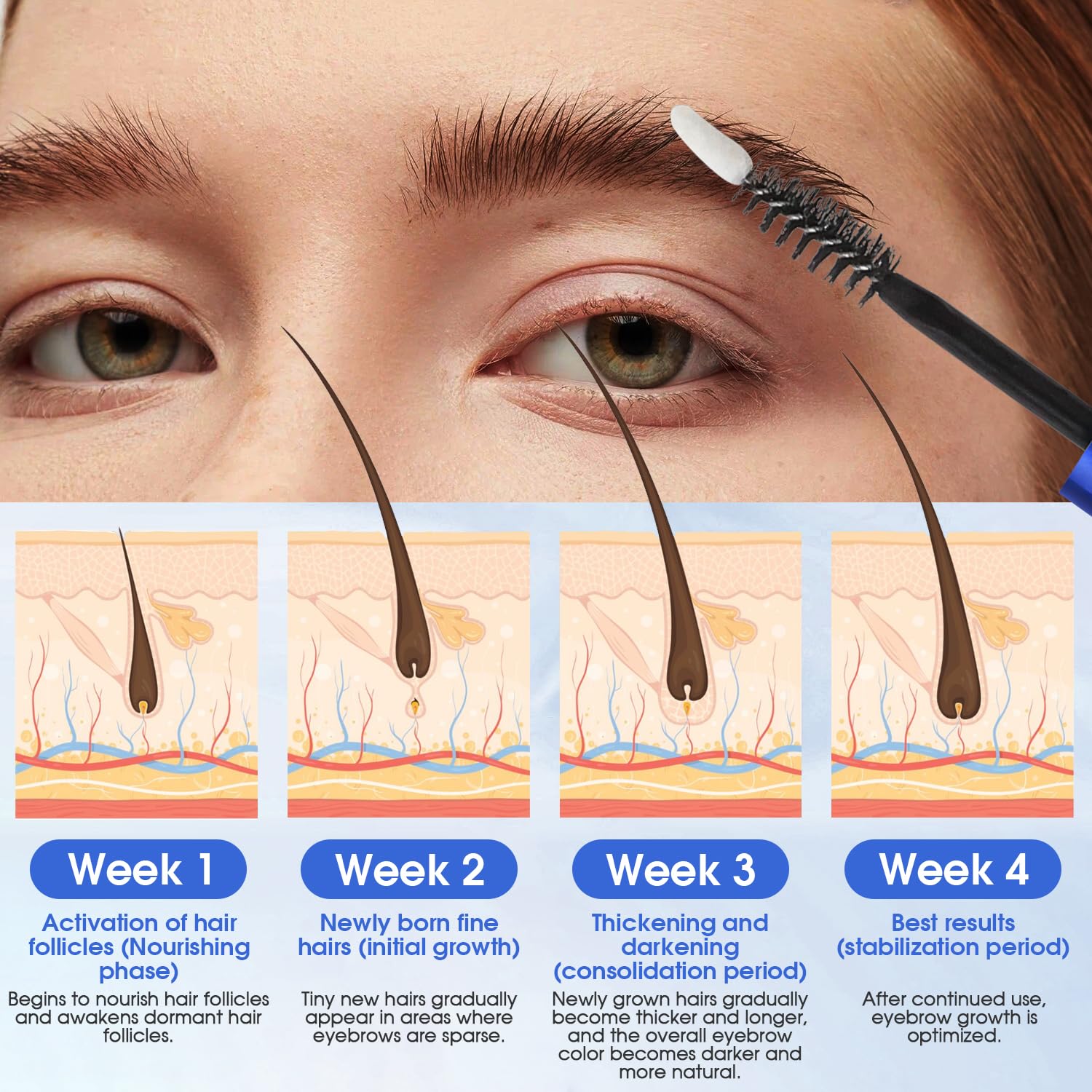Naturally Enhance Brows 5ml Plant Extract Eyebrow Growth Serum for Thicker, Longer Lashes - Image 3