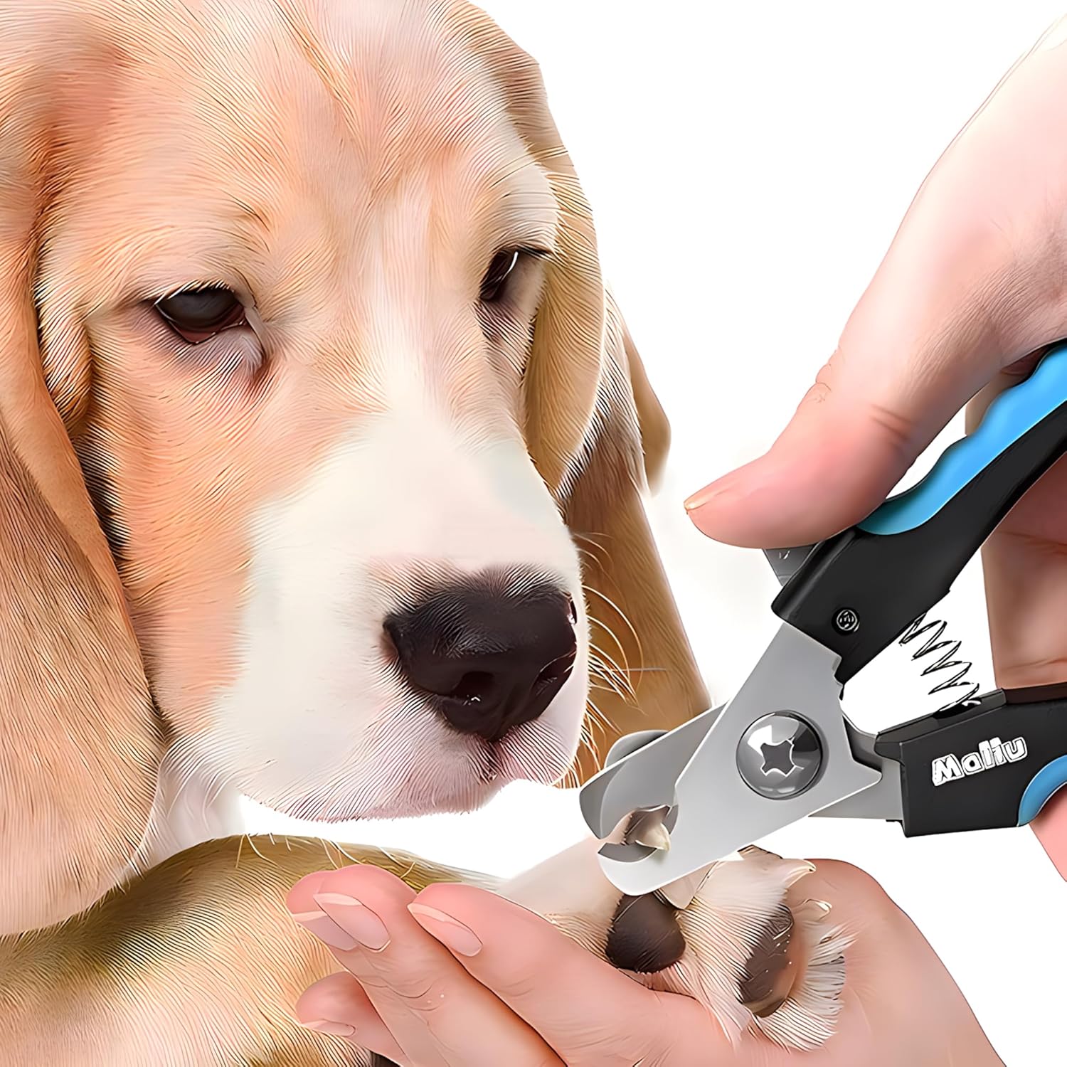 Dog & Cat Nail Clippers, Pet Nail Clipper and Trimmer with Safety Guard to Prevent Over Cutting, Grooming Razor Sharp Blades with Nail File for Small, Medium, Large Breeds, S Black Blue - Image 6