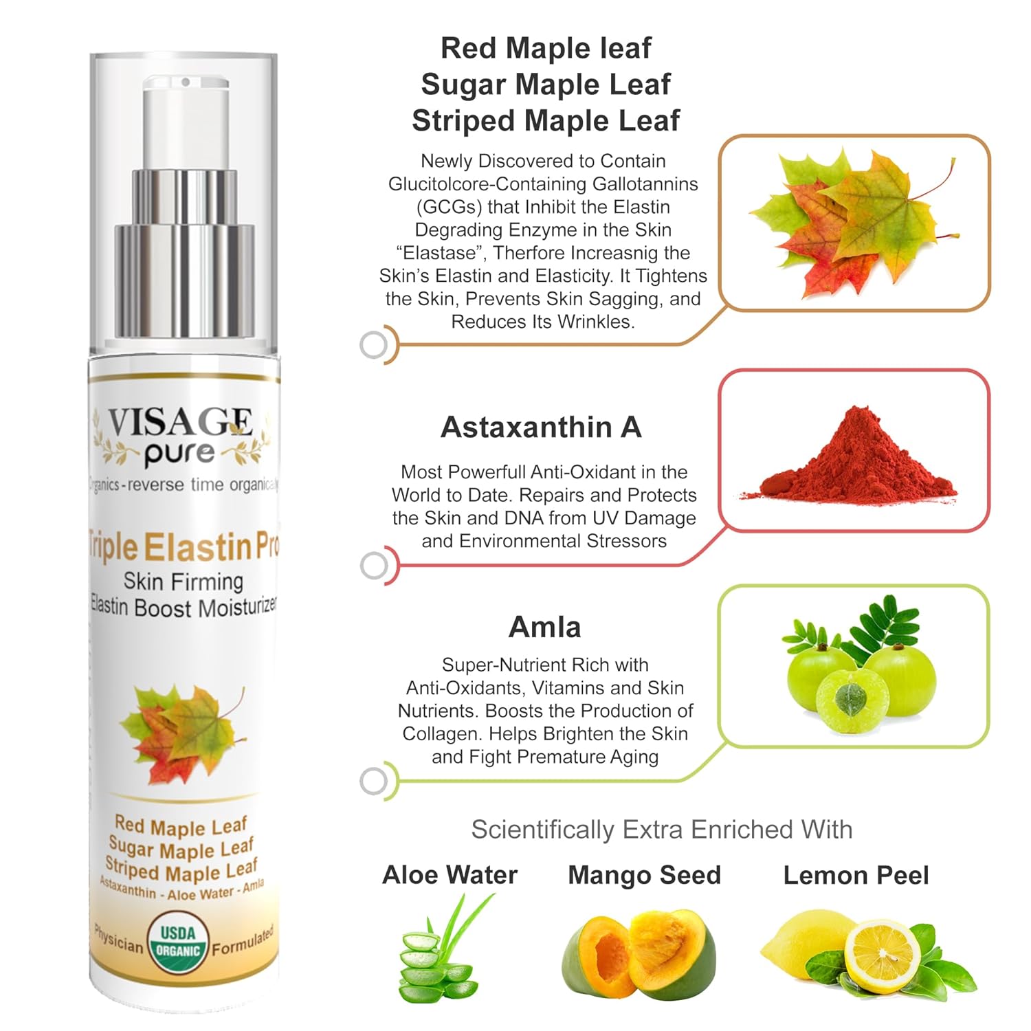 Triple Elastin Pro 4 oz Firming Moisturizer Cream USDA Organic Physician Formulated - Image 2