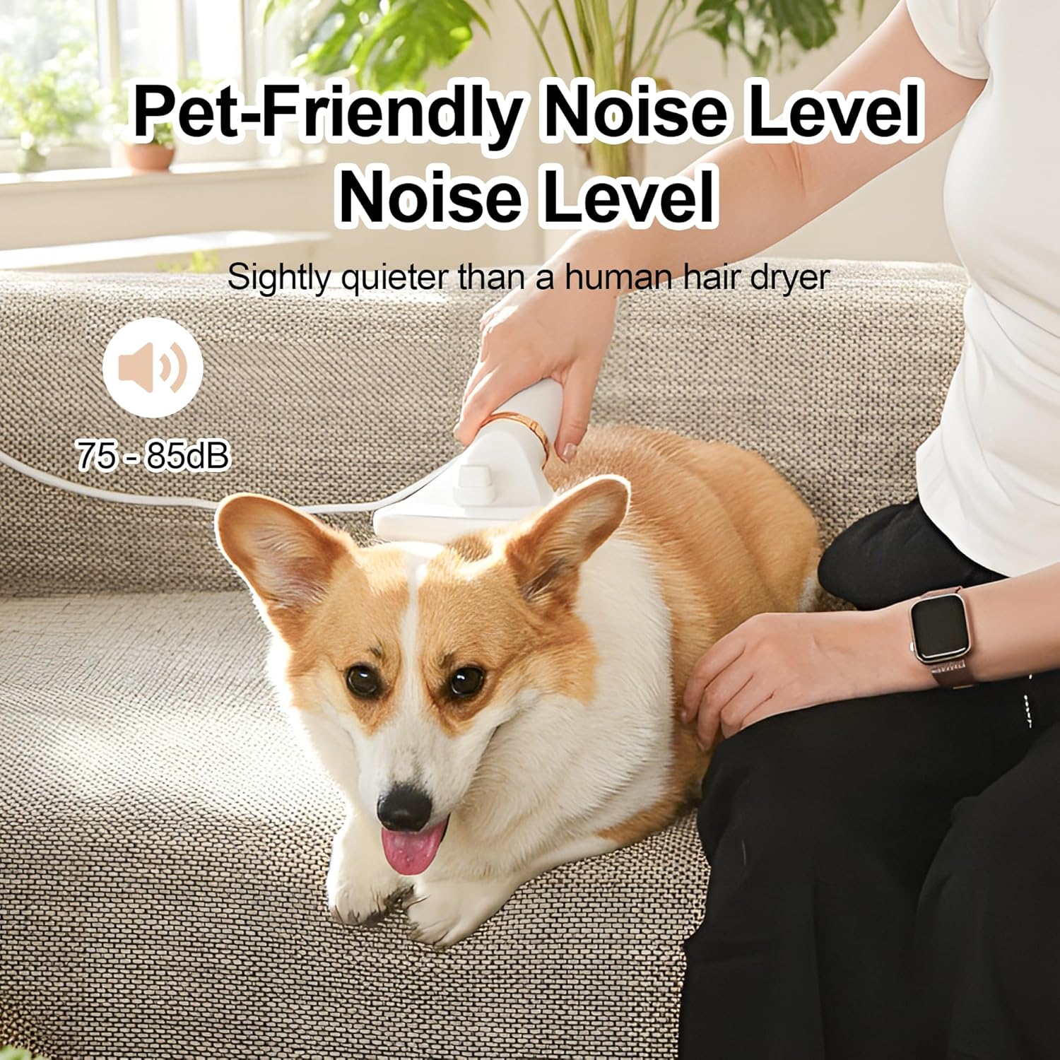 Portable 2-in-1 Dog Grooming Dryer and Brush, 300 Watts, 3-Speed Settings, Low Noise Operation - Image 7