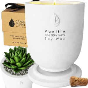 Concrete Cement Candle Planter - Aromatherapy Candles for Home Scented, Soy Candles - Scented Candle & Dual Purpose Jar Candles, Strong Scented Candles - 8 Oz, 50-Hour Burn