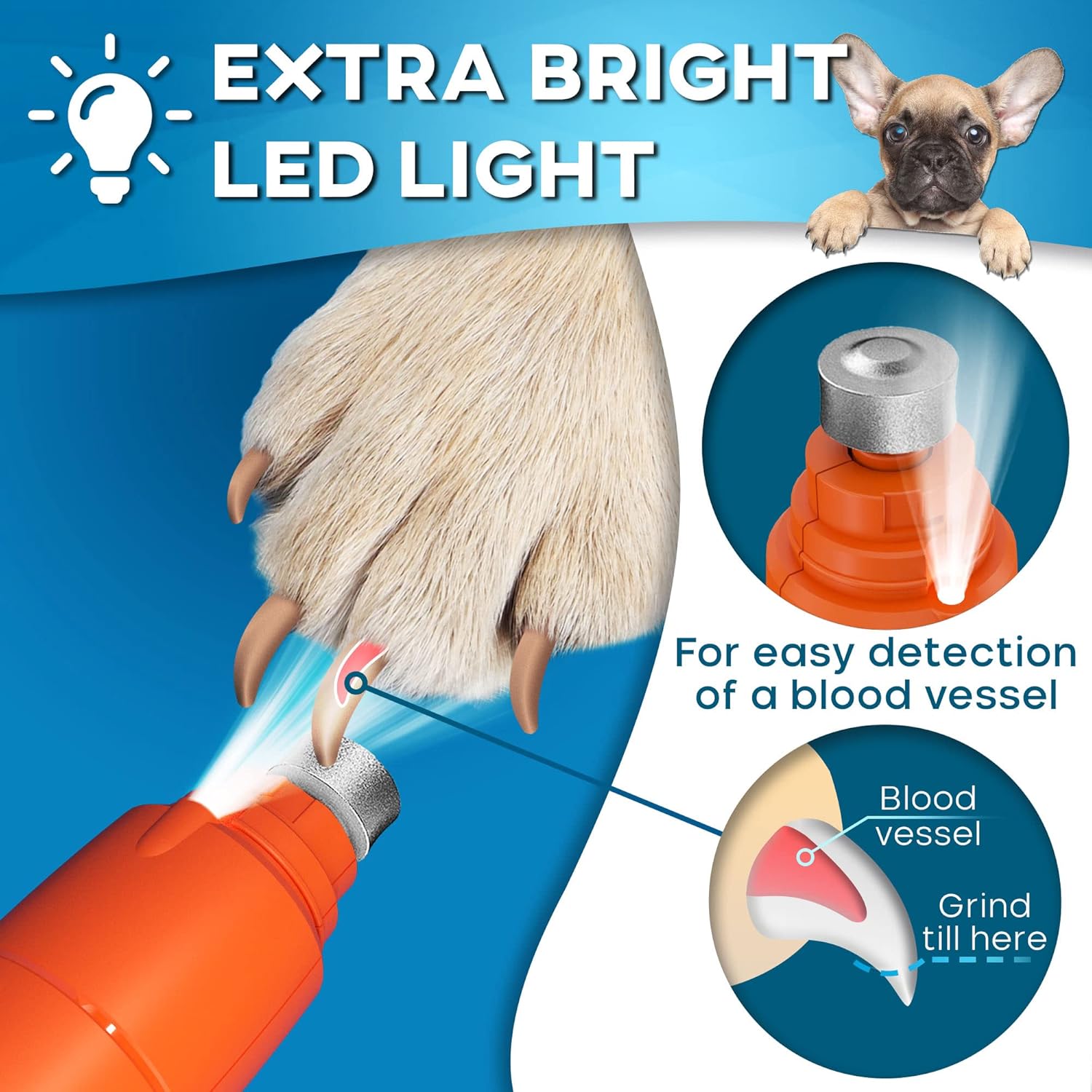 Quiet 2-Speed Dog Nail Grinder with LED Light for Small Medium Pets - Image 5