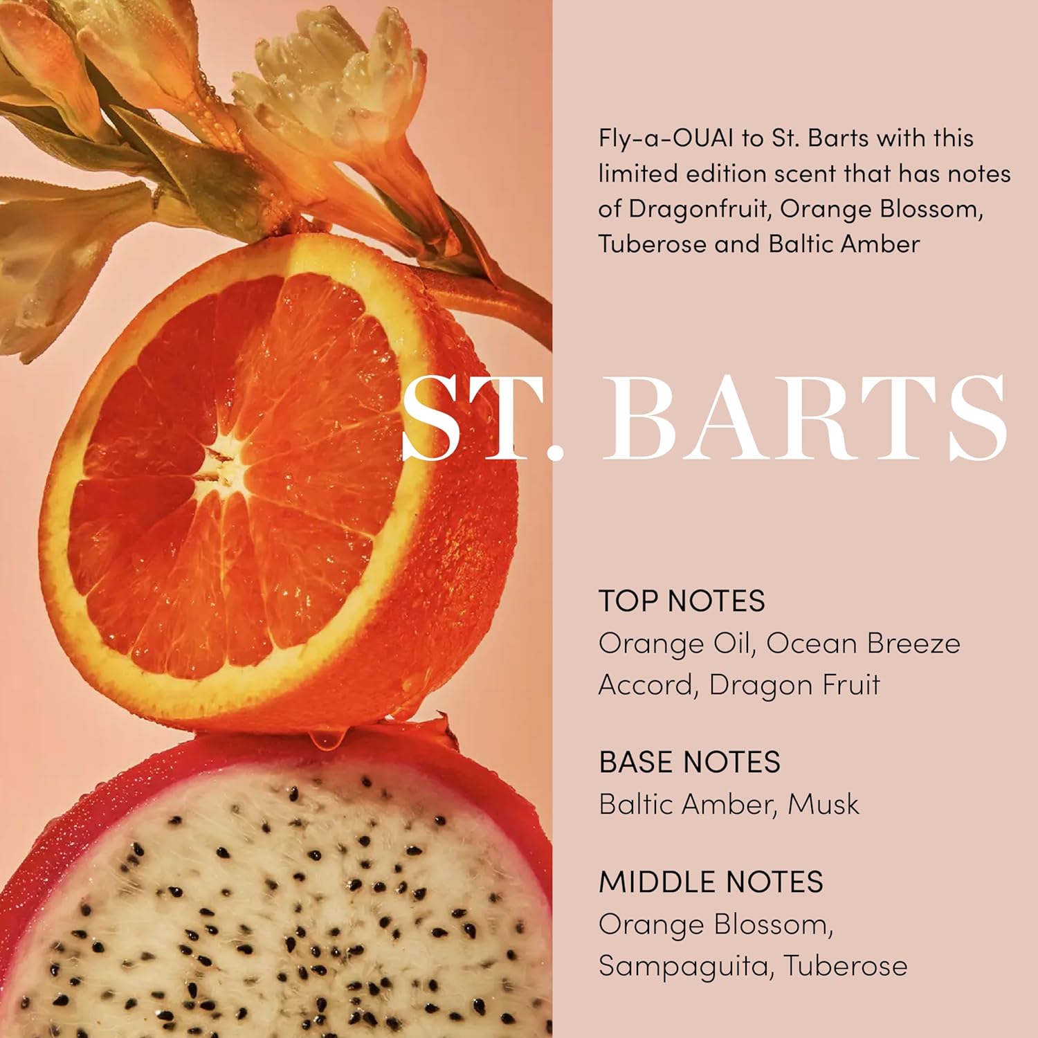 OUAI St. Barts 7.5 Oz Hydrating Whipped Body Cream with Cupuaçu Butter and Coconut Oil - Image 4