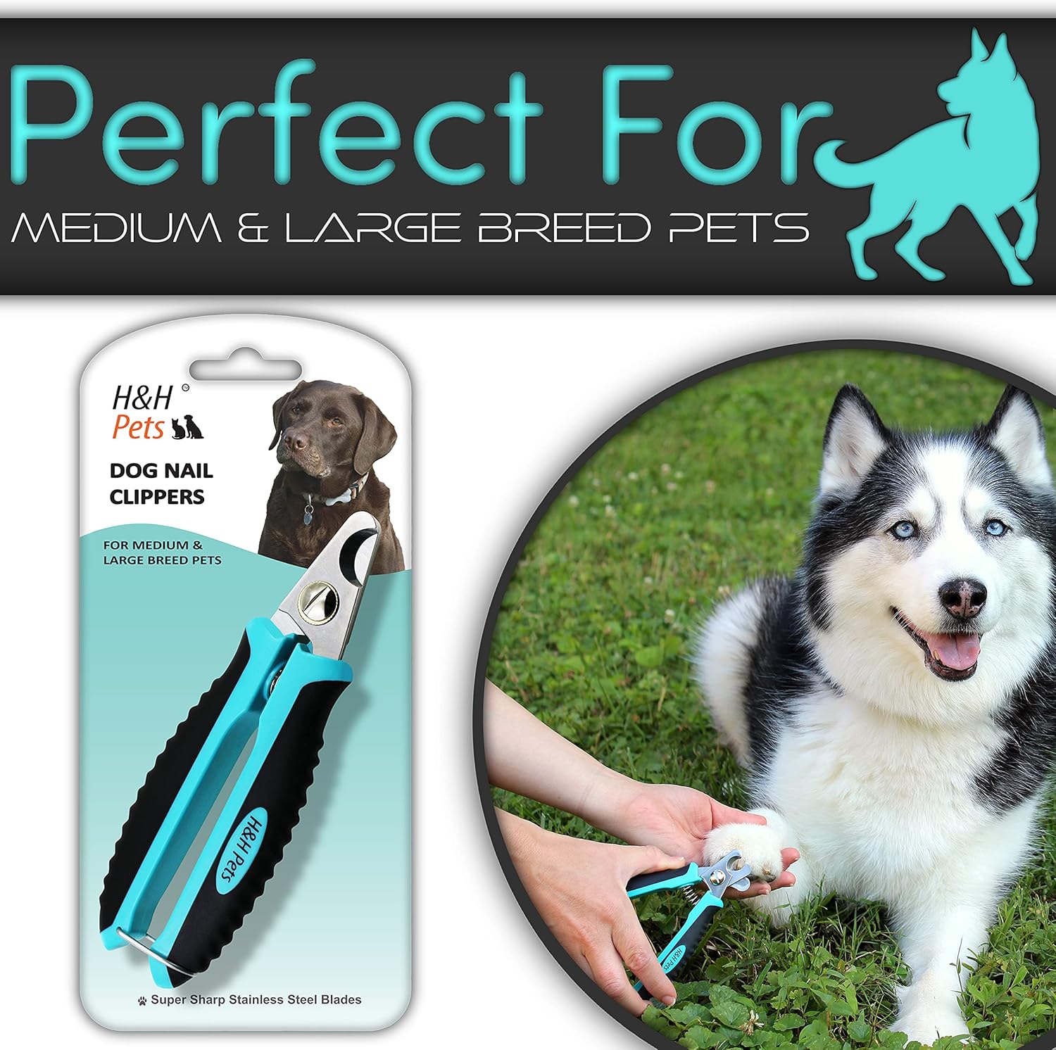 H&H Pets Medium Stainless Steel Cat and Dog Nail Clippers with Non-Slip Handles - Image 3