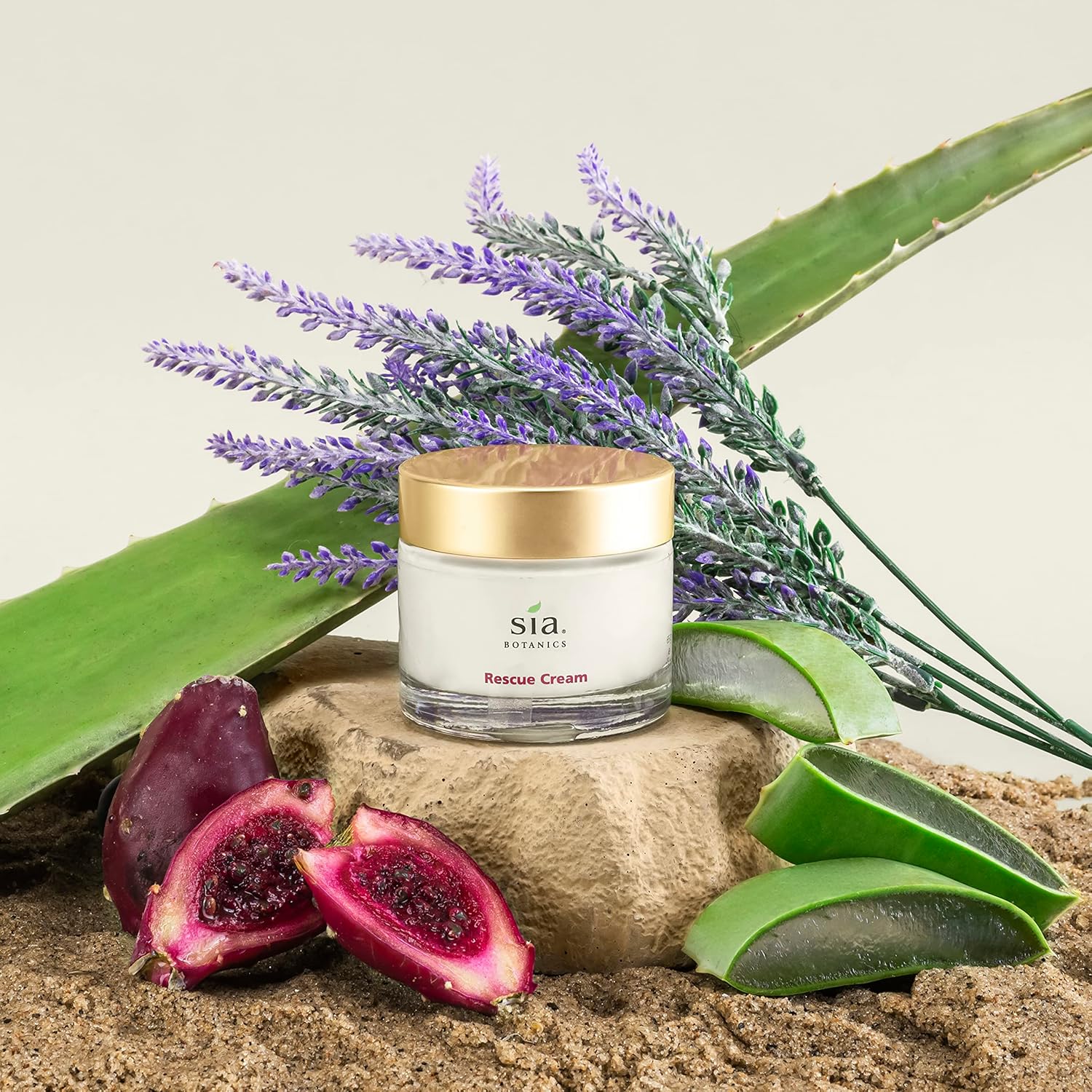 Rescue Face Cream 65g Glass Jar - Natural Botanical Facial Moisturizer with Prickly Pear, Aloe Vera, Green Tea - Image 2