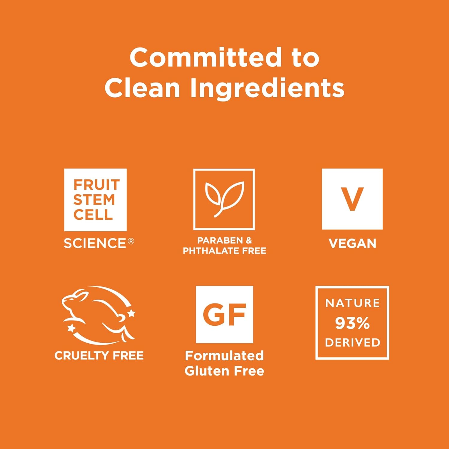 Andalou Naturals Vitalizing 8 Oz Body Lotion Mandarin Vanilla Shea Butter Argan Oil Vegan - Image 6