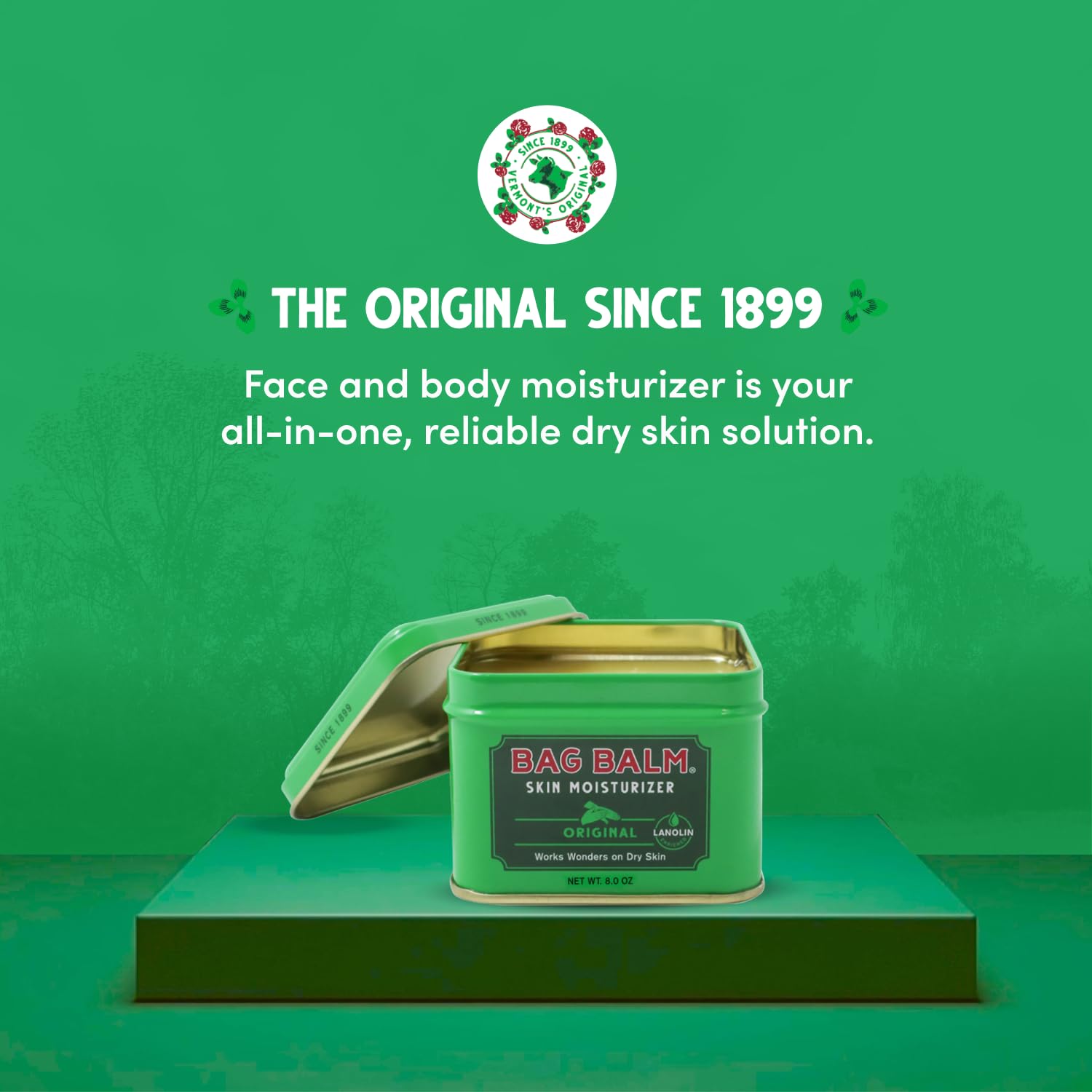 Bag Balm Original Moisturizing Salve 2 Pack for Cracked Hands and Dry Skin 8 Ounce - Image 2