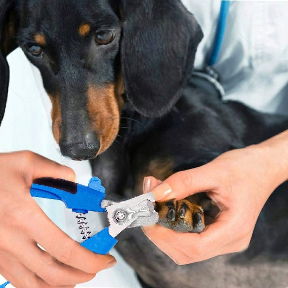 Large Dog Nail Clippers Set Puppy Grooming Tool Quick Sensor Sharp Blades - Image 7