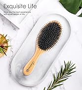 Hair Brush Comb Set Boar Bristle Hairbrush for Curly Thick Long Fine Dry Wet Hair,Best Travel Bam...