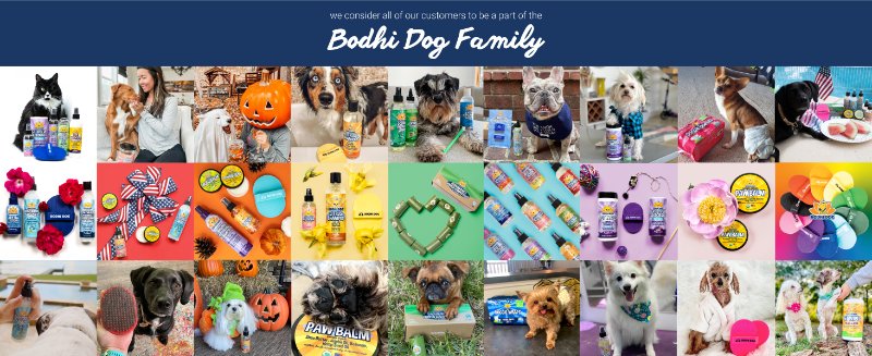 Bodhi Dog Family images