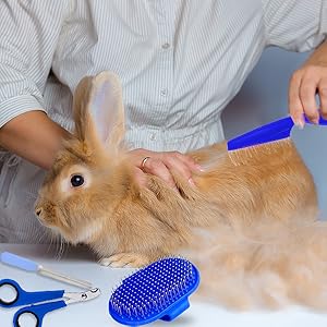 bunny brush