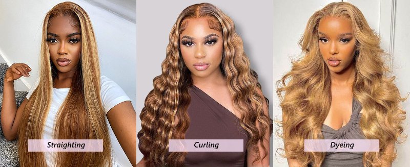 Highlight Lace Front Wig Human Hair