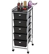 Pibbs 5 Tier Cart Professional Utility Cart/Styling Station on Wheels with Black Top, Metal Appli...