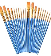 20 pcs paint brush