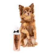SMALL DOG WITH BUTCH LEATHER COLOGNE