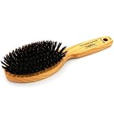 Phillips Brush Gentlemens’ Quarters Captain Oval Cushion Boar Bristle Hair Brush for Men