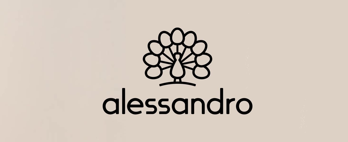 alsessandro Logo