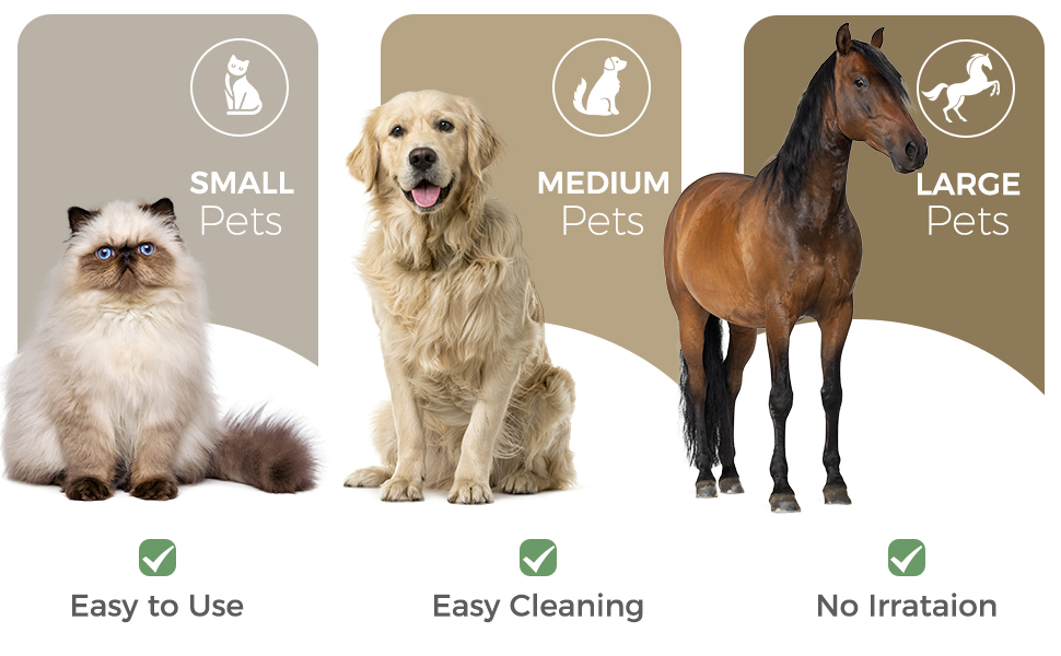 dog brush