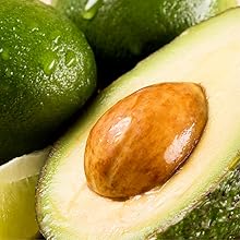 aa