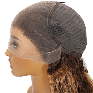 Blonde Highlight Lace Front Wig Human Hair
