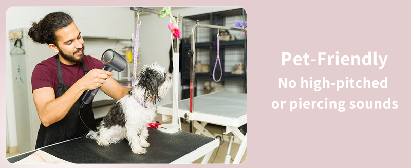 hair dryer pet dog