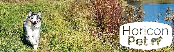 Horicon Pet Logo and Dog Running near water