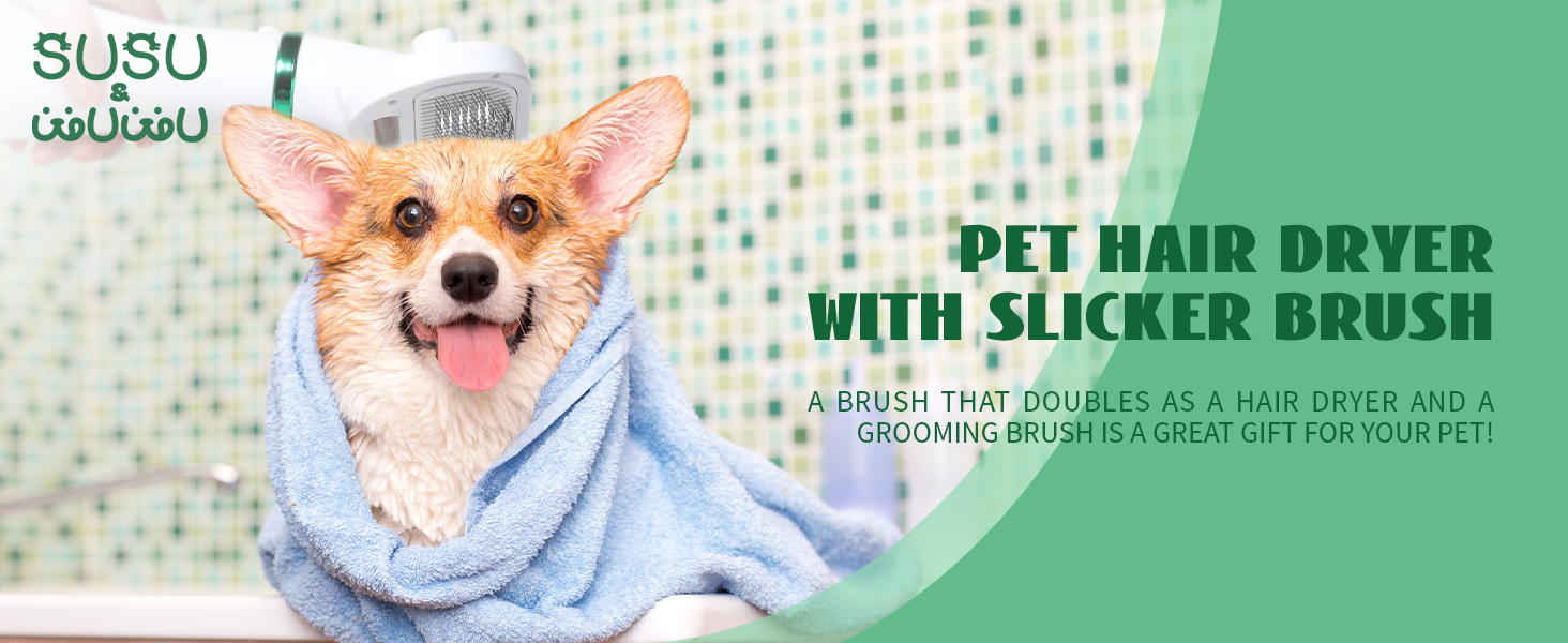Pet Hair Dryer with Slicker Brush