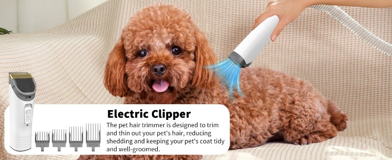 pet vacuum