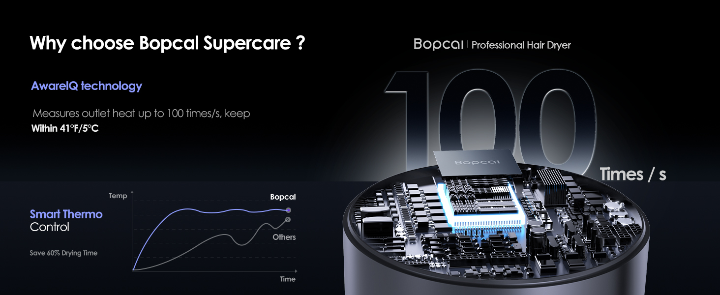 Ionic hair dryer