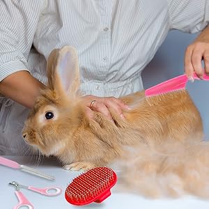 rabbit nail clippers