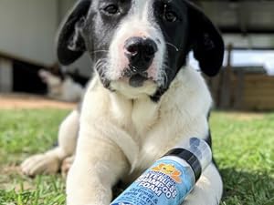 black and white puppy lying in the grass with waterless shampoo foam