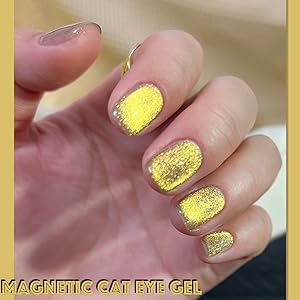 9d cat eye gel nail polish