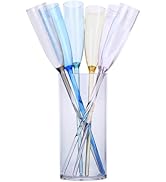 Hemoton Champagn Flutes Set,Acrylic Flutes With Acrylic Base,Unbreakable Flutes,Baseless Wine Gla...