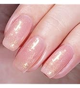 AILLSA Glittle Jelly Gel Nail Polish Champagne Holographic Translucent Gel Polish Sheer Color Spa...