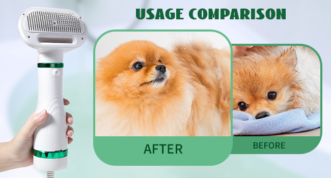 Pet Hair Dryer with Slicker Brush