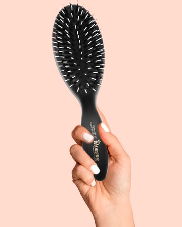 holding altesse brush