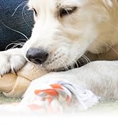 Wahl USA 4-in-1 Calming Pet Shampoo for Dogs – Cleans, Conditions, Detangles, & Moisturizes with ...
