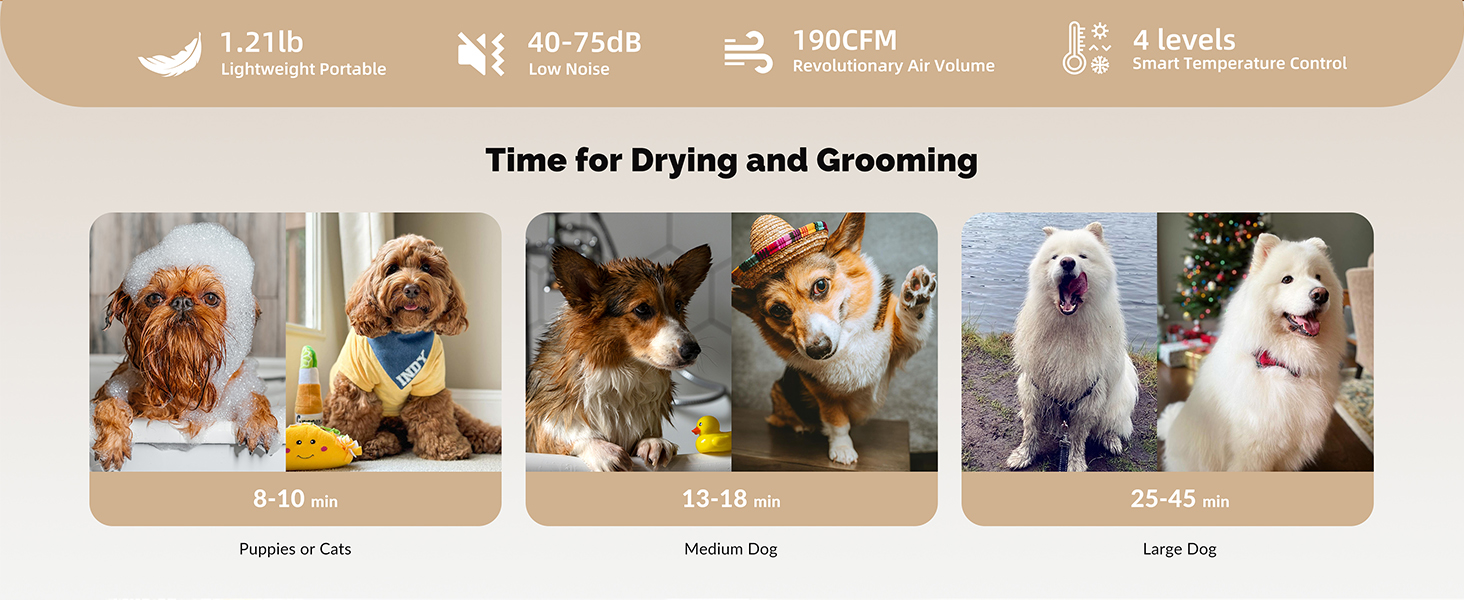 quick drying and grooming