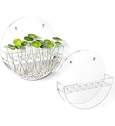 FEMELI Wall Planters 2 Pack Acrylic Clear Wall Hanging Planters,Propagation Wall Hanging, for Pro...